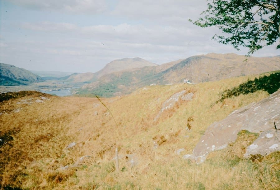 Photo Plein Air Painting Ireland Outdoors