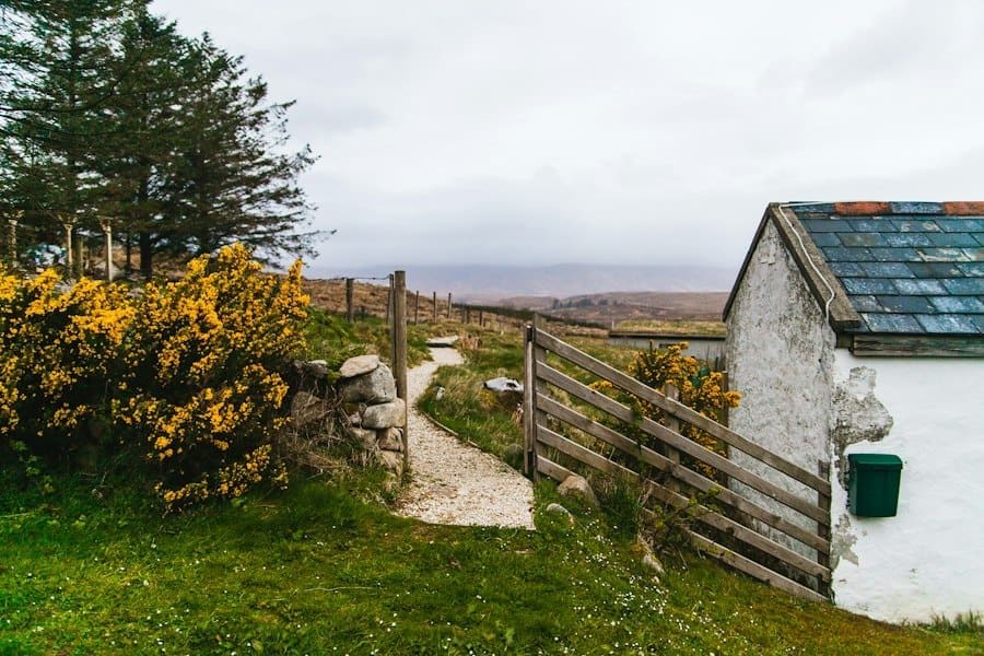 Photo Rural remote working Ireland pros cons