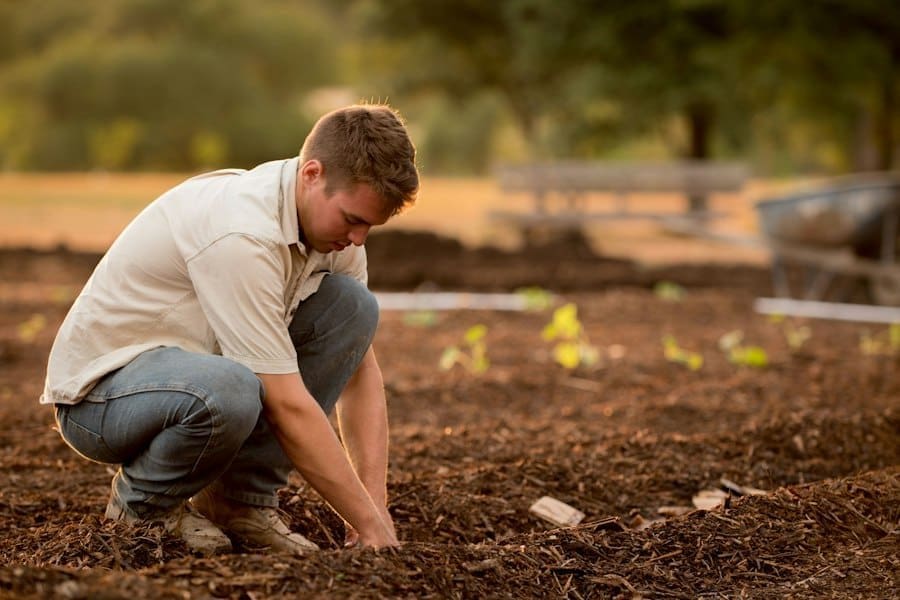 Photo gardening for wellbeing benefits