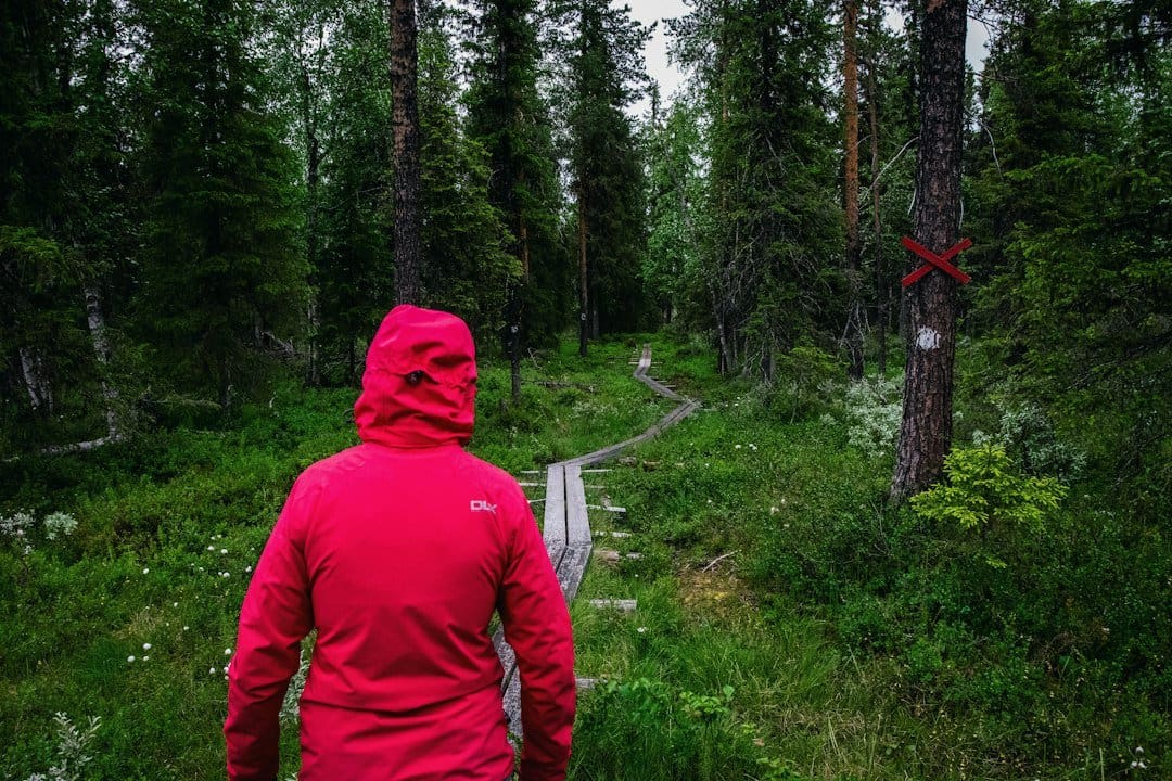 Photo Nordic Walking beginners guide