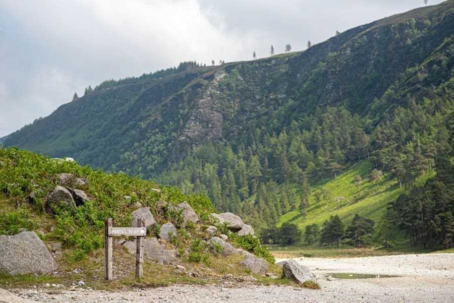 Forest Bathing Ireland Locations