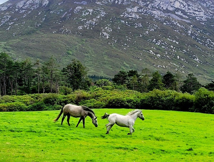 Galway winter activities
